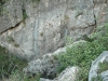 Puente Tibetano